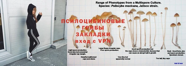 гашик Алексеевка