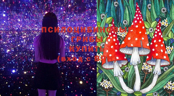 гашик Алексеевка