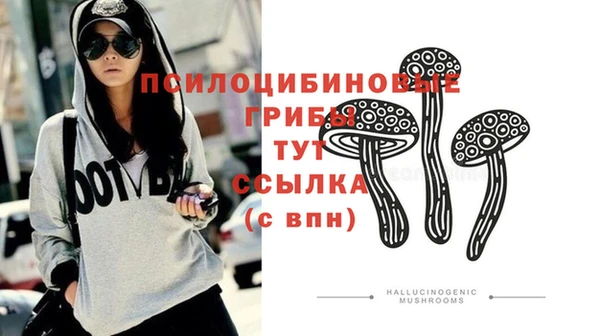 гашик Алексеевка
