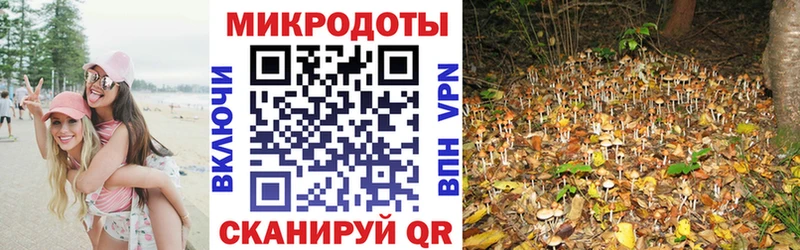 Галлюциногенные грибы Magic Shrooms  ОМГ ОМГ маркетплейс  Невинномысск 